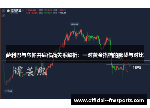 萨利巴与乌帕并肩作战关系解析：一对黄金搭档的默契与对比