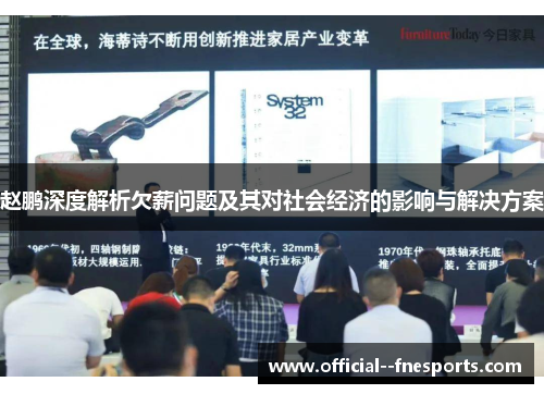 赵鹏深度解析欠薪问题及其对社会经济的影响与解决方案